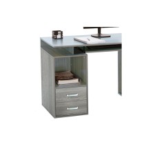 Mesa de Ordenador Roble Gris, 120x55x76cm - 2 Cajones y Estantes para Organización Eficiente